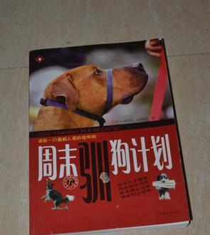 文章详情图片