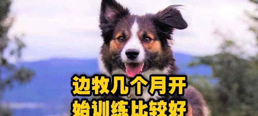 文章详情图片