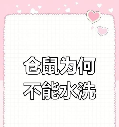 文章详情图片