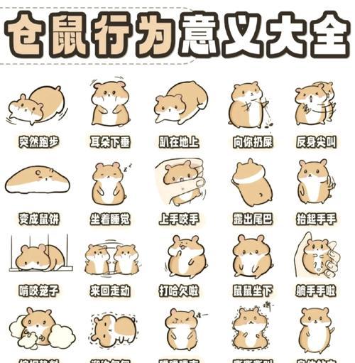 文章详情图片