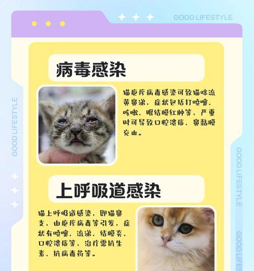 文章详情图片