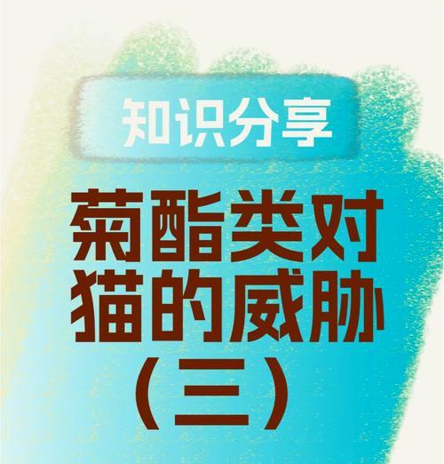 文章详情图片