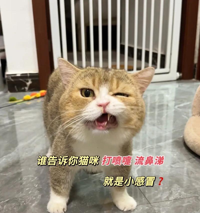 文章详情图片