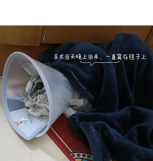 文章详情图片