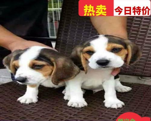 文章详情图片