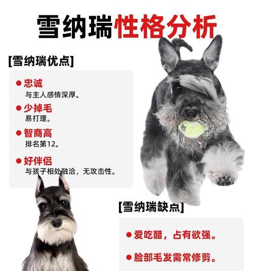 文章详情图片