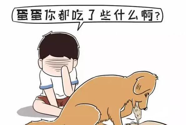 文章详情图片