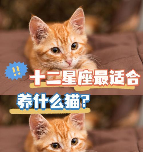 文章详情图片