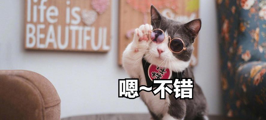 文章详情图片