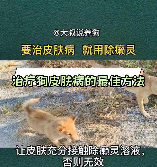 文章详情图片