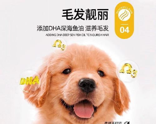 文章详情图片