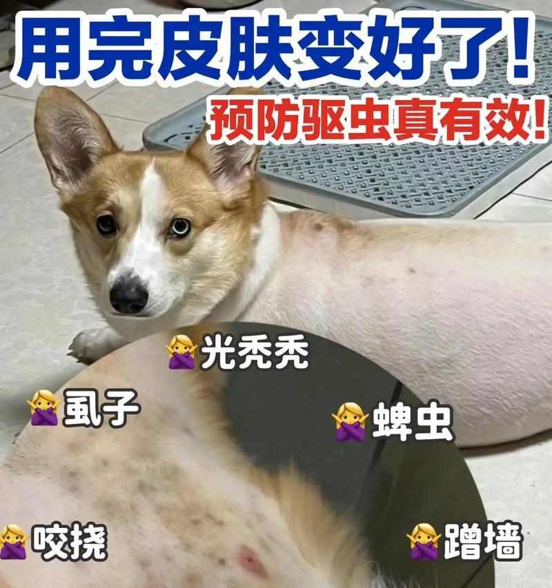 文章详情图片