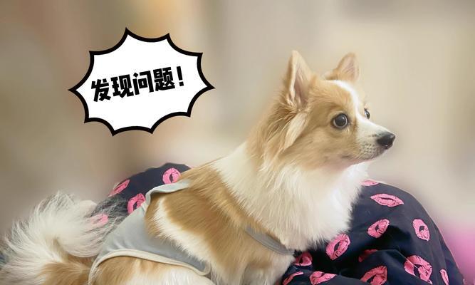 文章详情图片