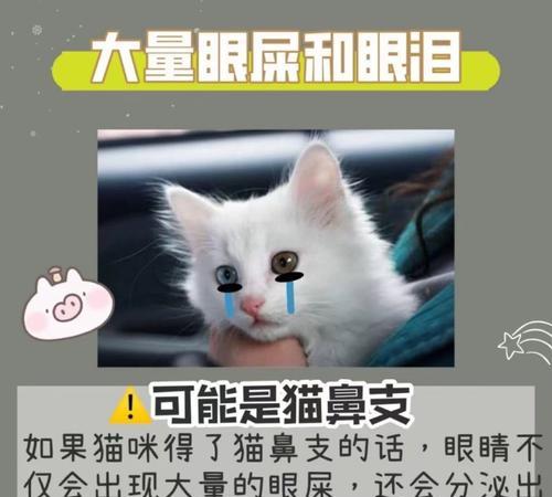 文章详情图片