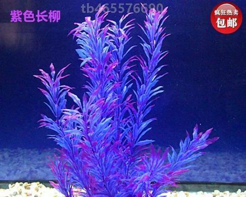 文章详情图片
