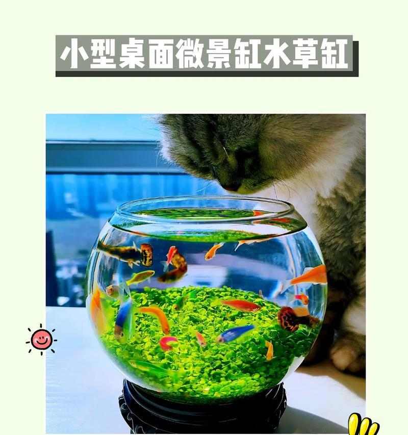 文章详情图片