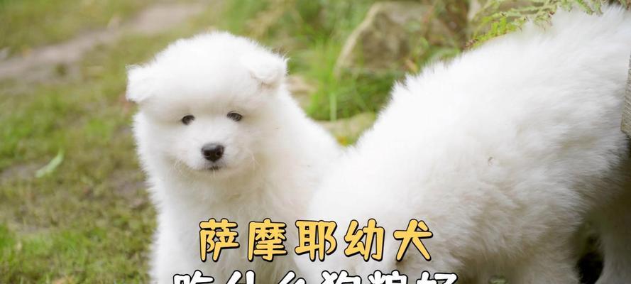 文章详情图片