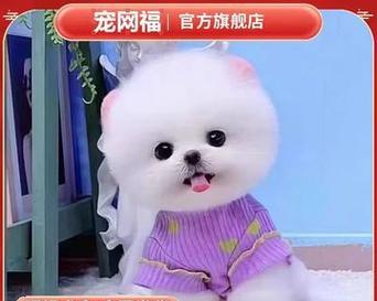 文章详情图片