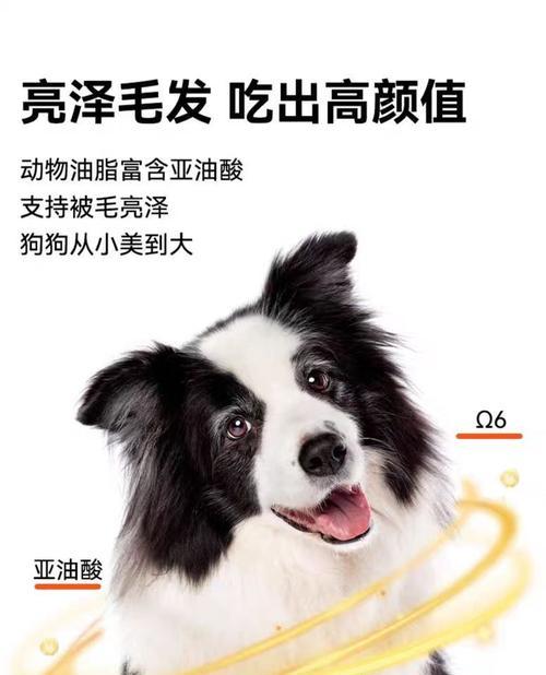 文章详情图片