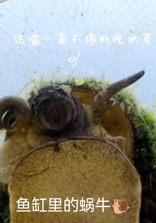 文章详情图片