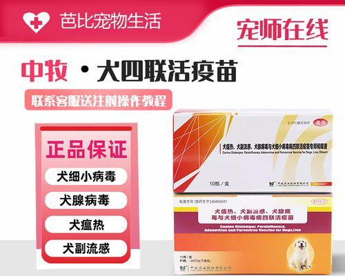 文章详情图片
