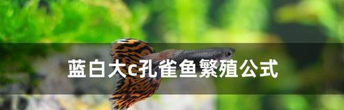 文章详情图片
