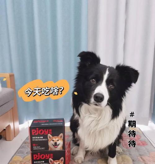 文章详情图片