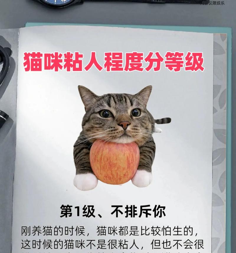 文章详情图片