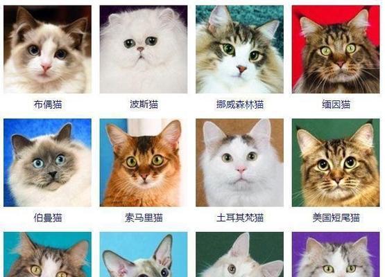 文章详情图片