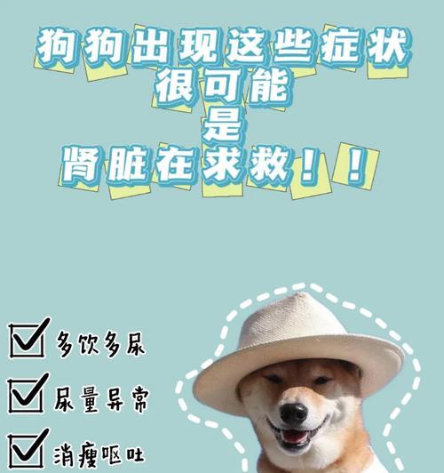 文章详情图片