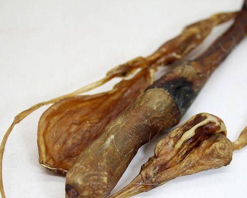 文章详情图片