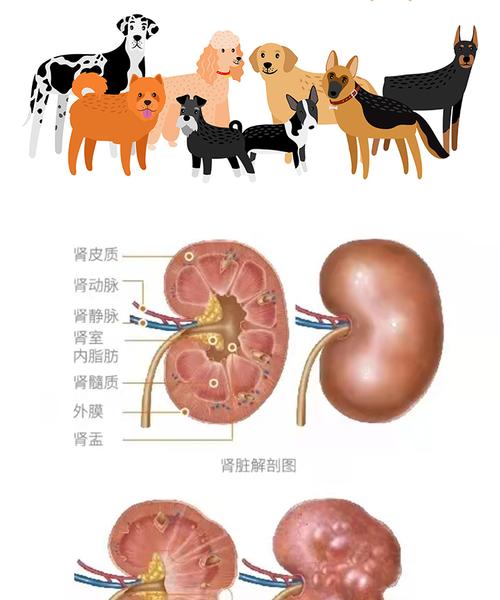 文章详情图片