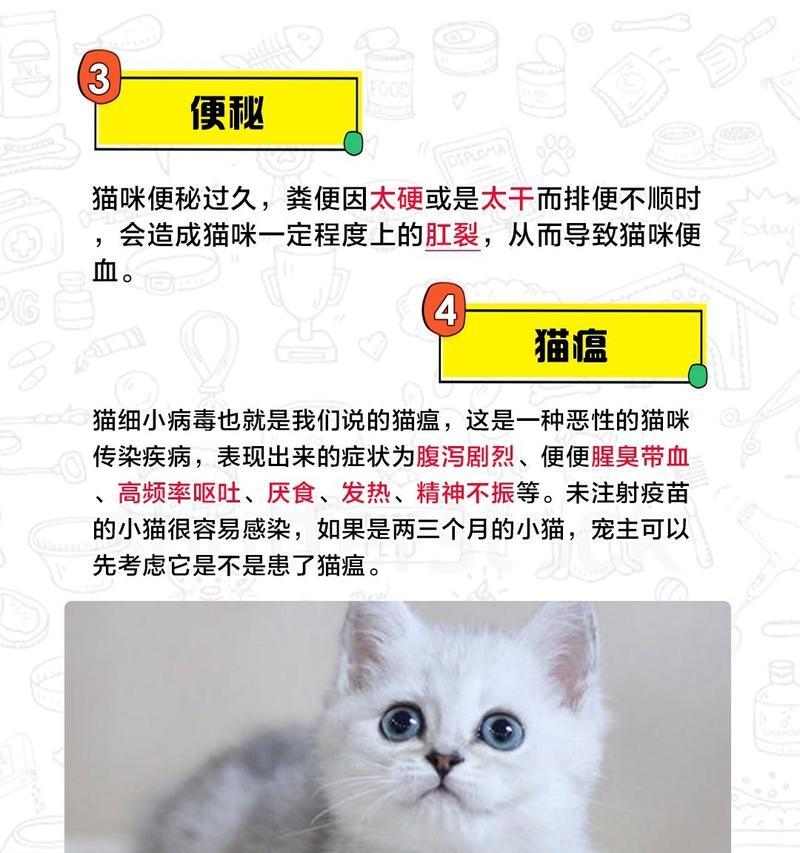 文章详情图片