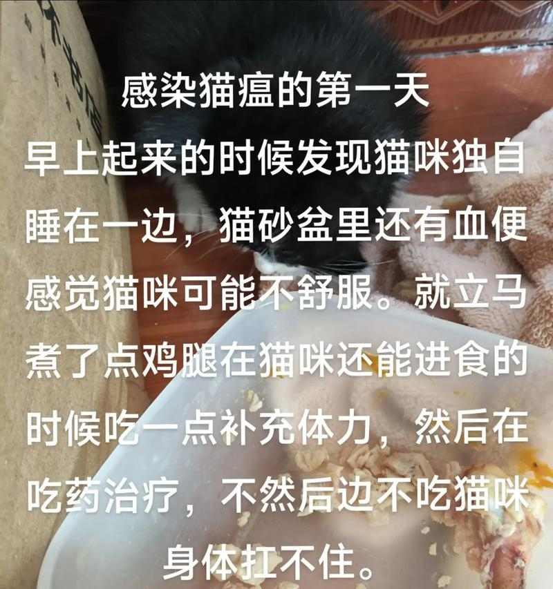 文章详情图片