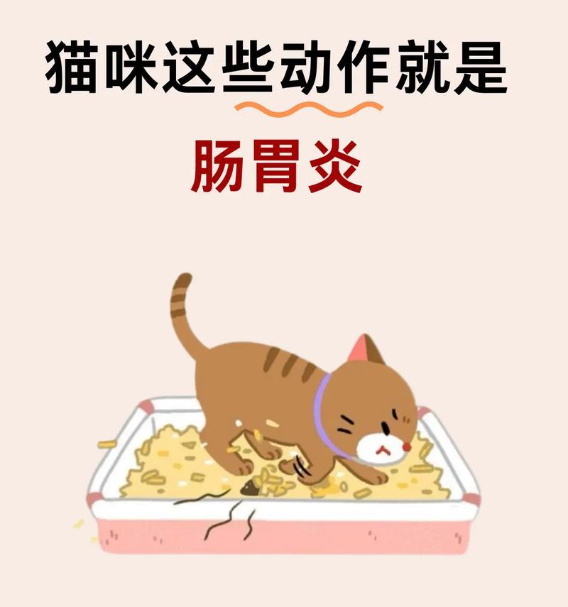文章详情图片