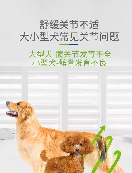 文章详情图片