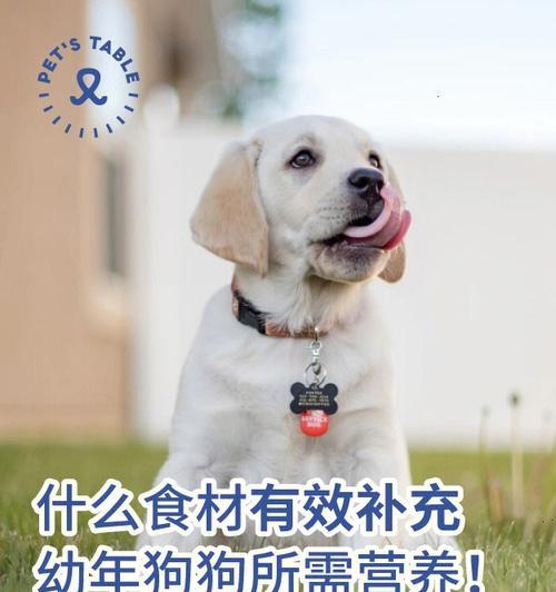 文章详情图片