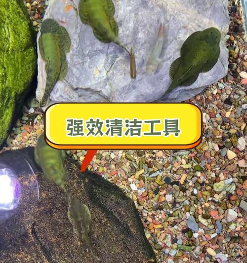 文章详情图片