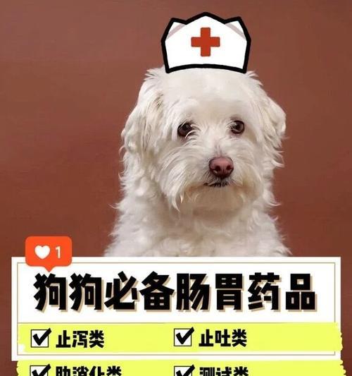 文章详情图片