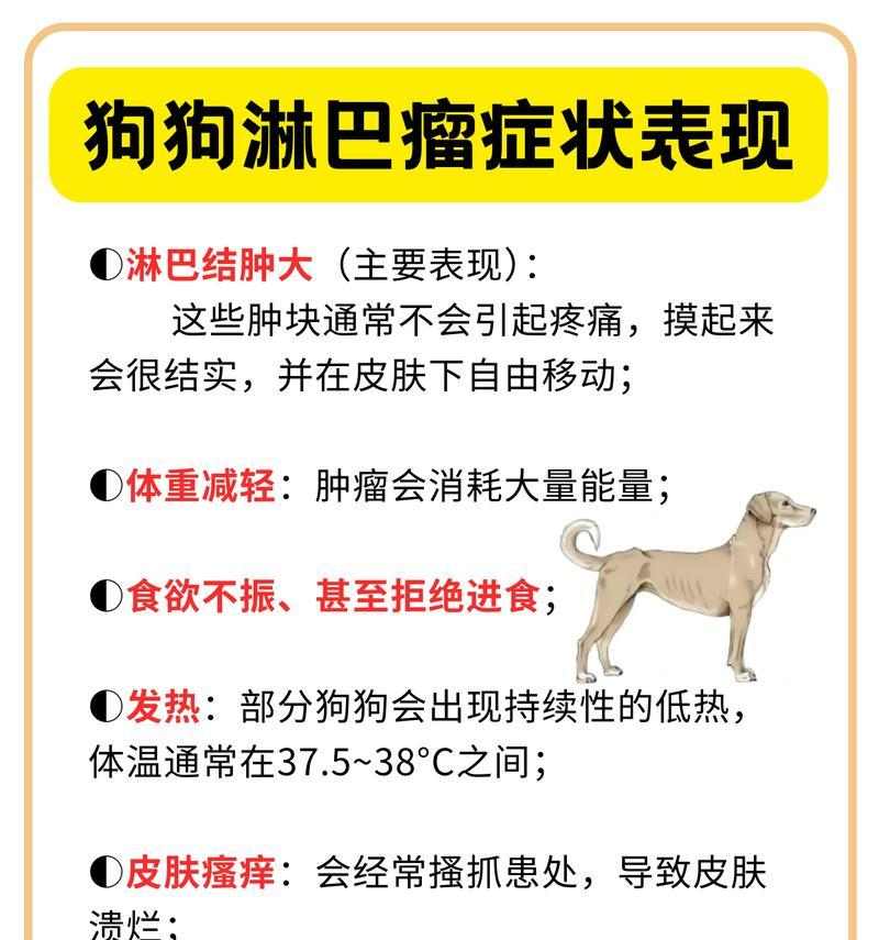 文章详情图片