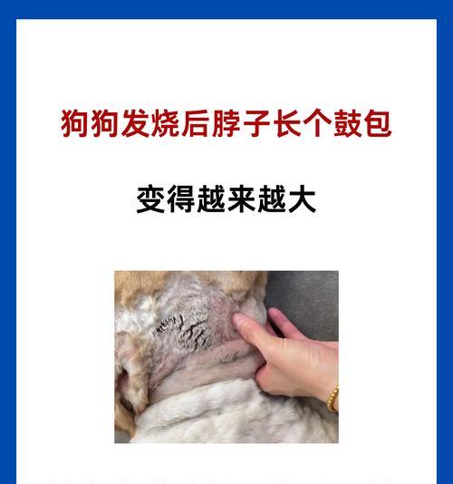 文章详情图片