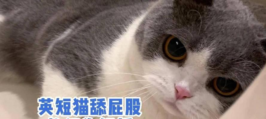 文章详情图片