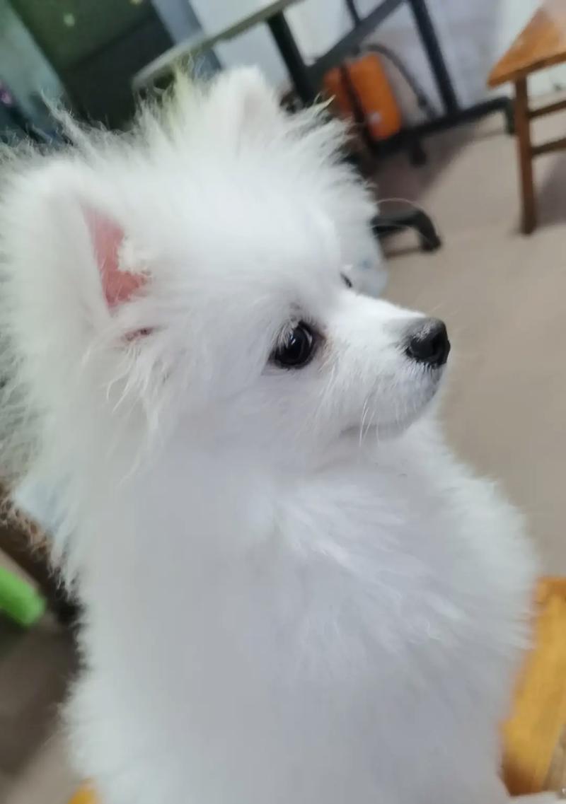 文章详情图片