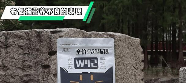 文章详情图片