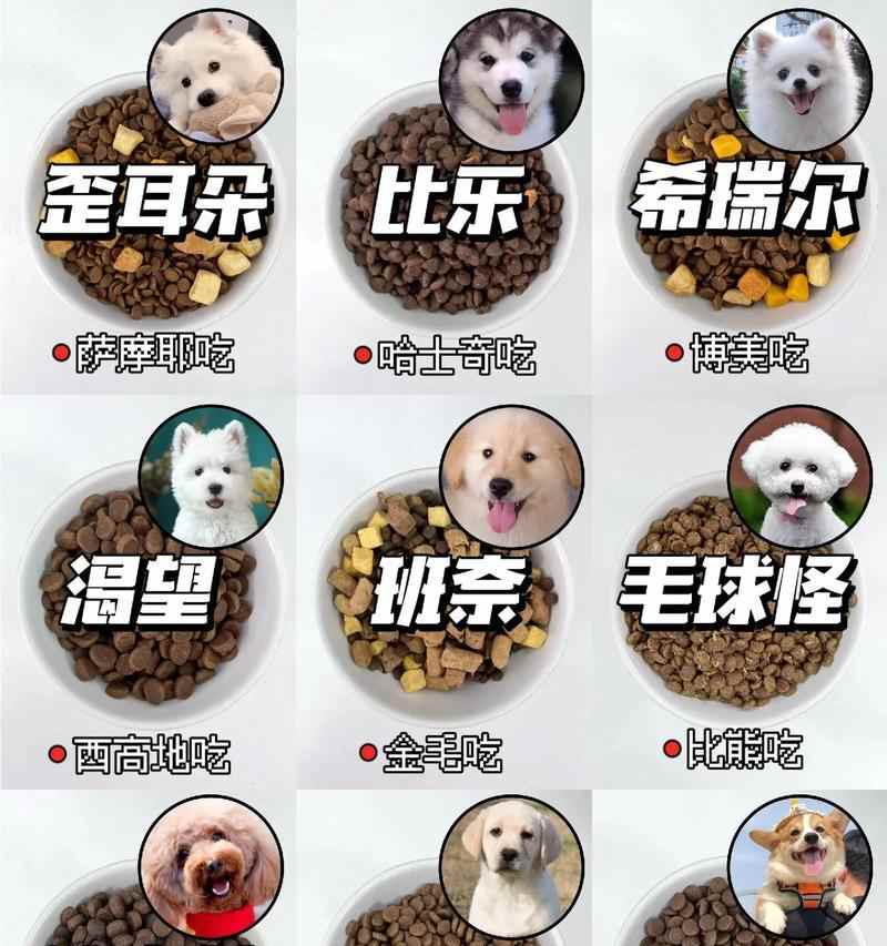 文章详情图片