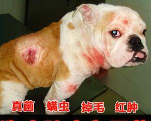 文章详情图片
