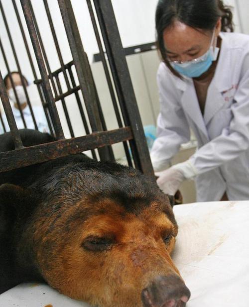 文章详情图片