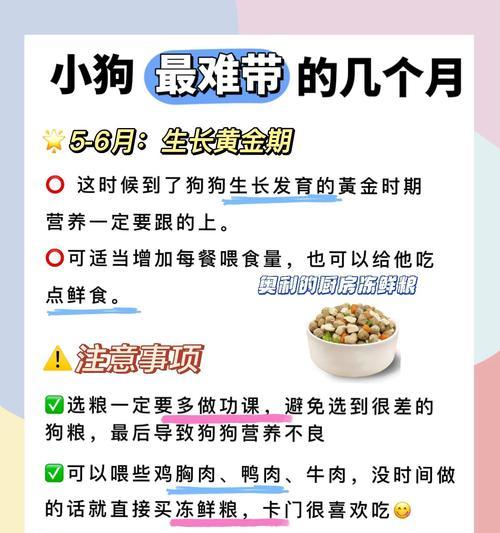 文章详情图片