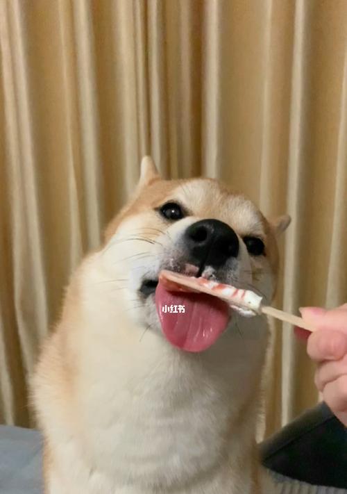 文章详情图片