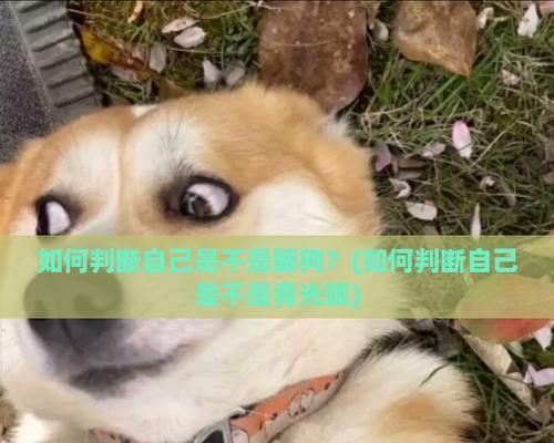 文章详情图片